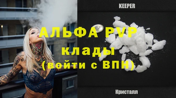 ECSTASY Гусиноозёрск