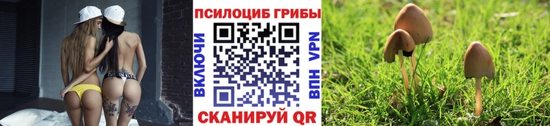 Галлюциногенные грибы Magic Shrooms  Дубна 
