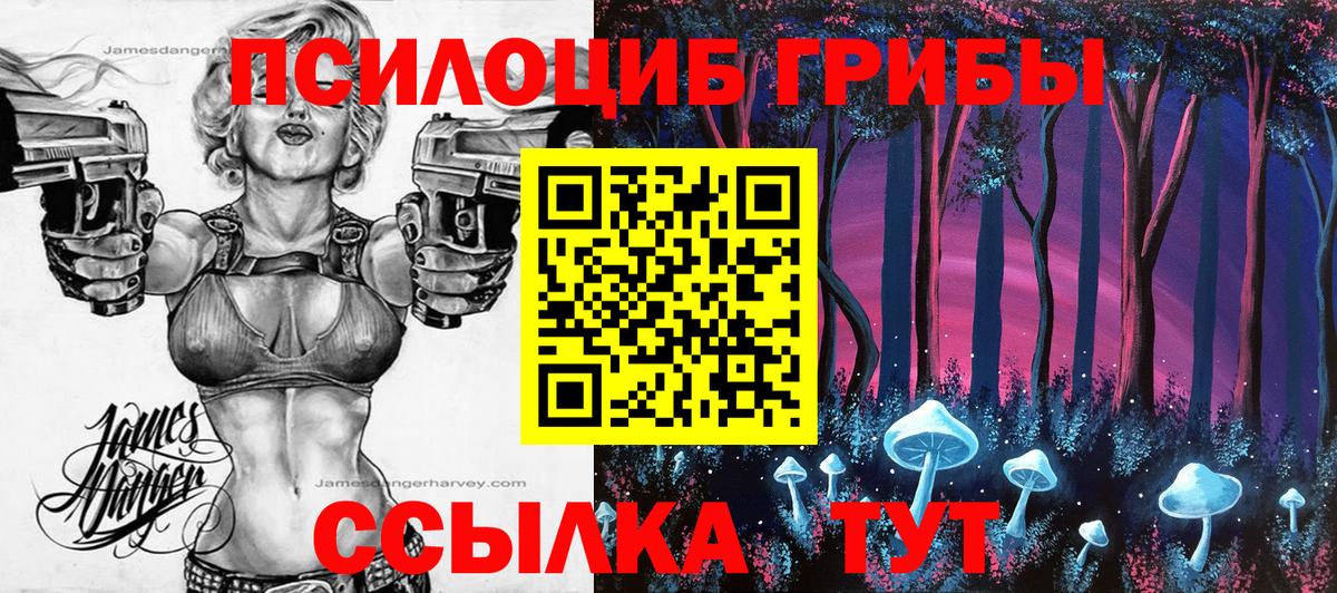 Дубна  Псилоцибиновые грибы GOLDEN TEACHER  что такое наркотик  Псилоцибиновые грибы мухоморы  Вход с VPN 